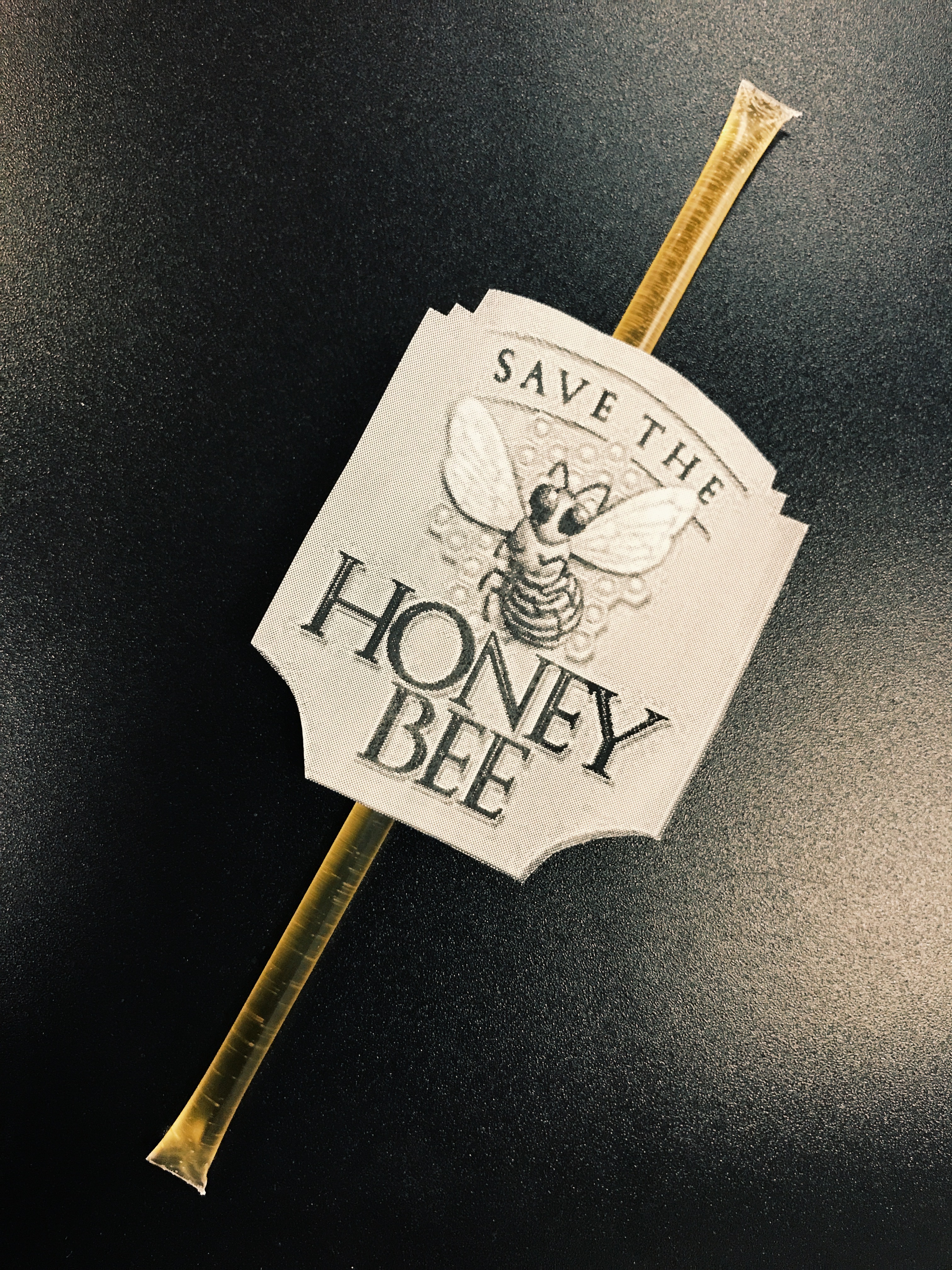 Phoenix Public Speaking visual aids save the honey bees